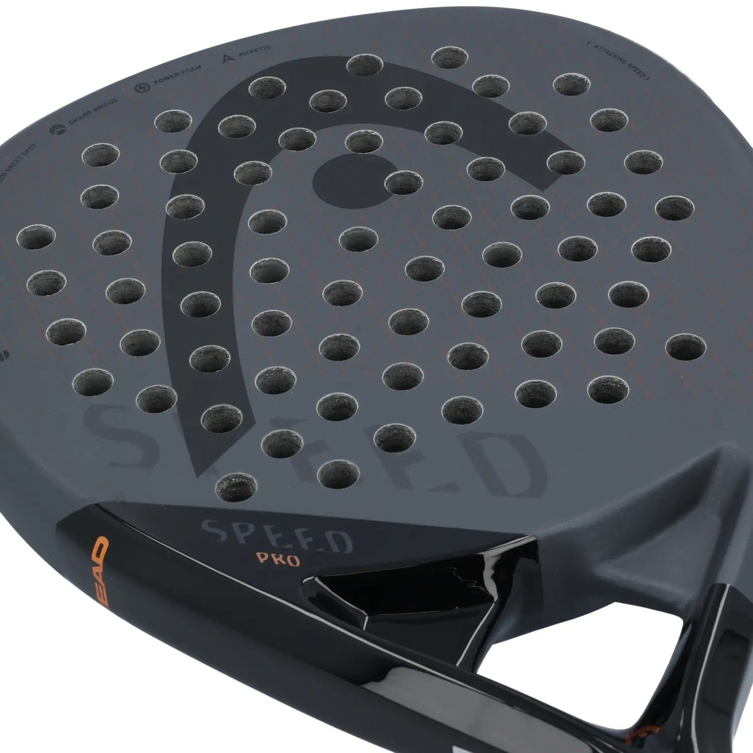 PALA HEAD SPEED PRO 2023